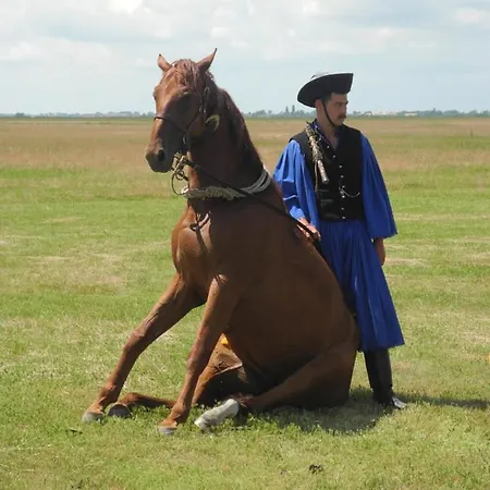 Feriehus Het Herenhuis *
